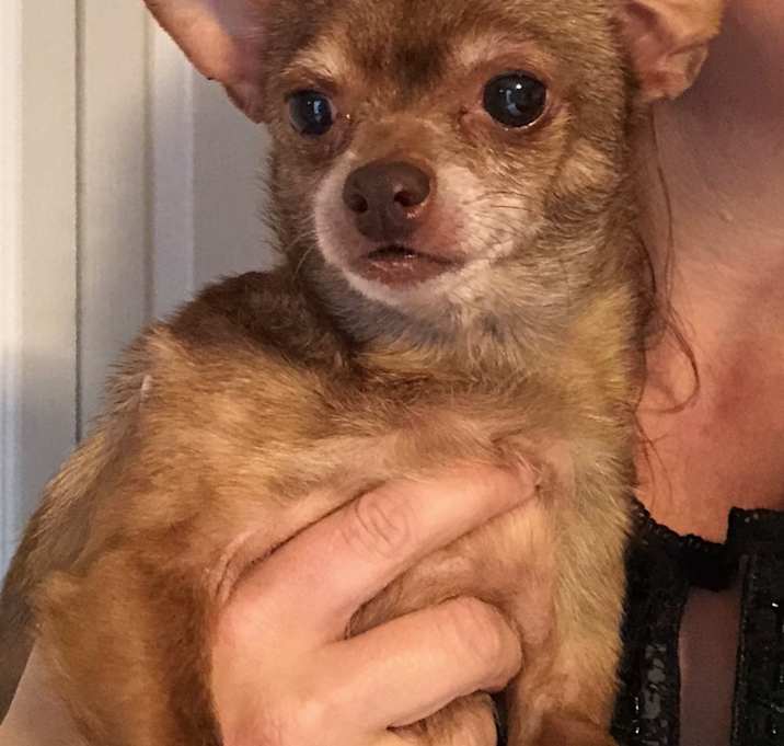 Photo of Tina