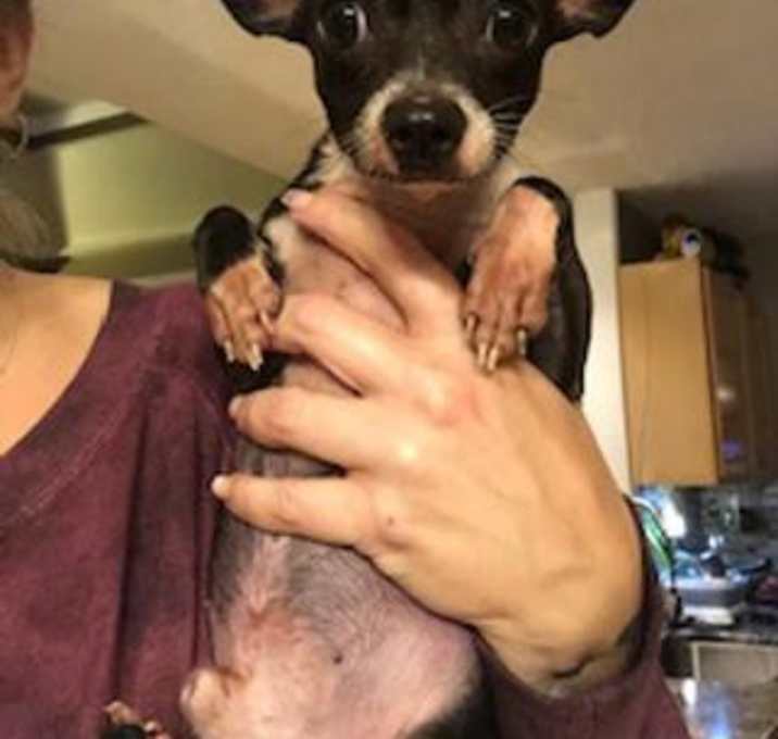 Photo of Bippy