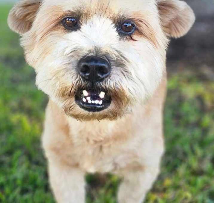 Photo of Harold
