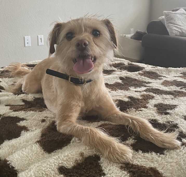 Photo of Bella