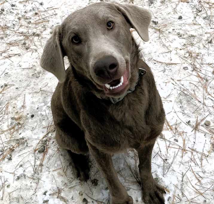 Photo of Thor