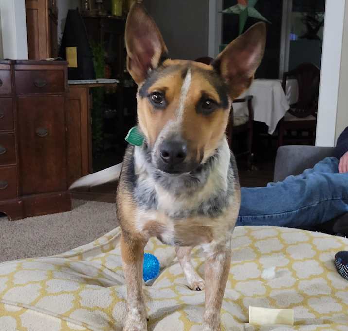 Photo of Fonzie