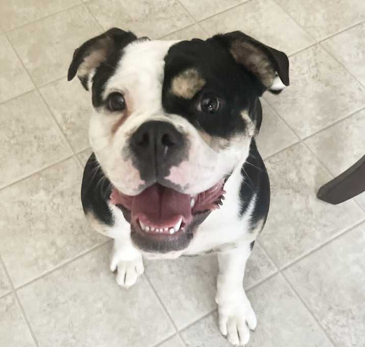 Photo of Kaido