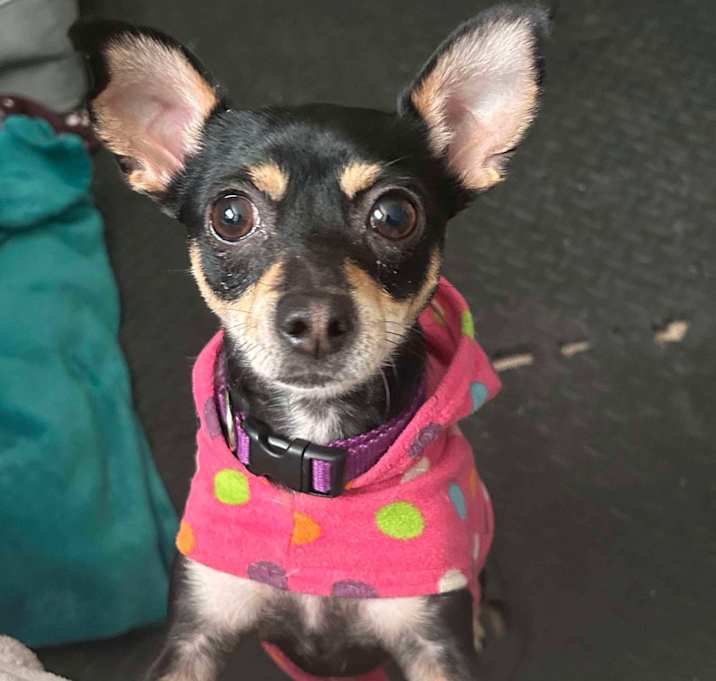 Photo of Frannie
