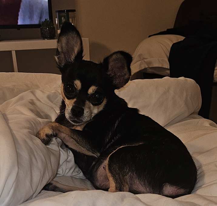 Photo of Gucci