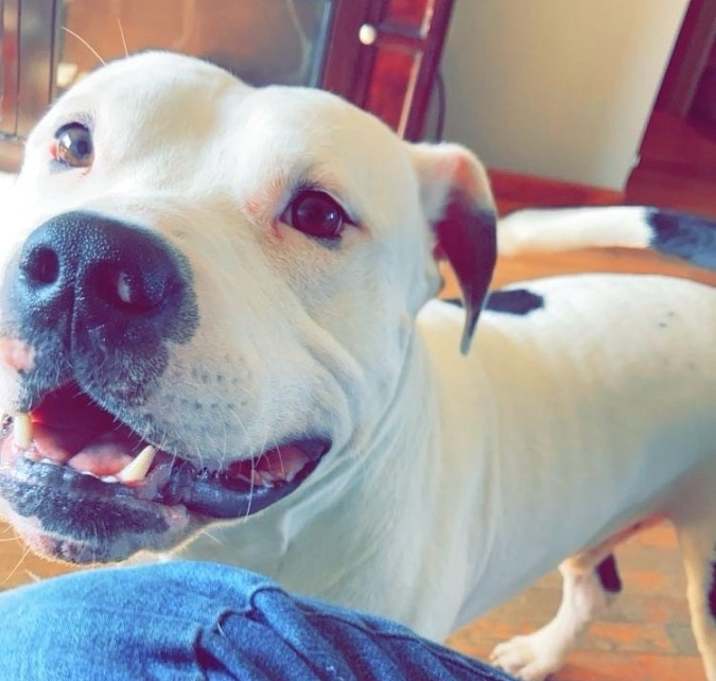 Photo of Tank