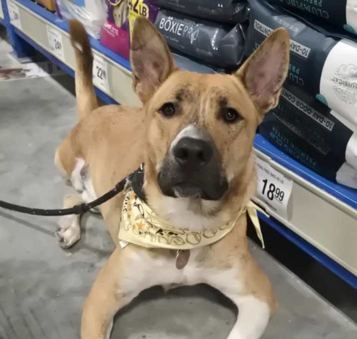 Photo of Cashy Boy