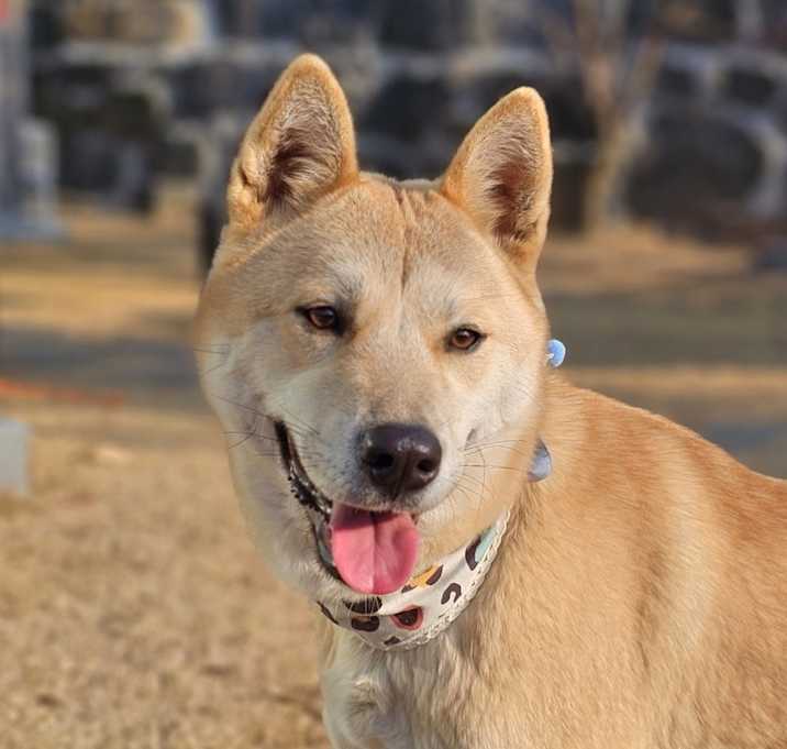 Photo of Bami