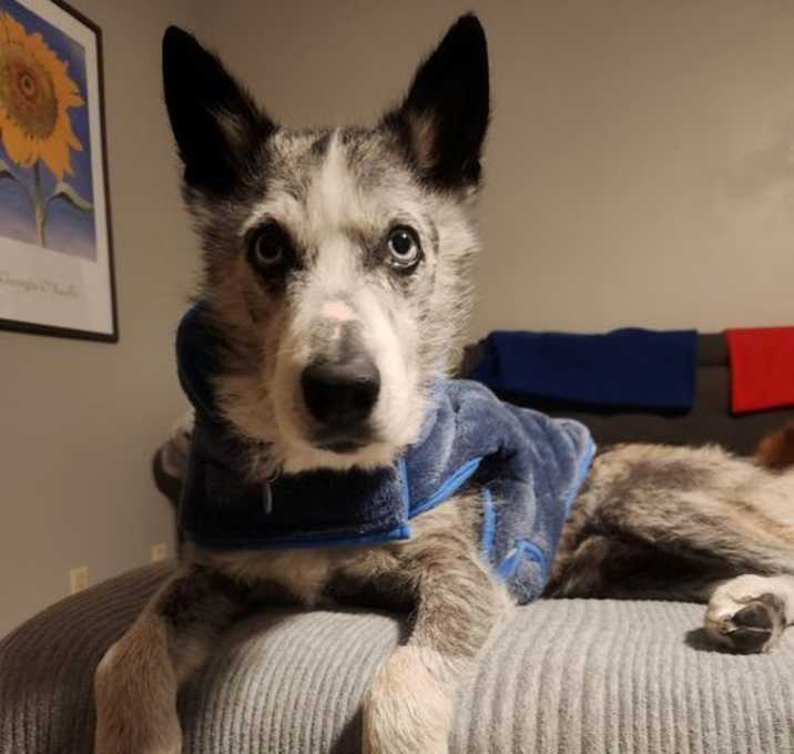 Photo of Kylo