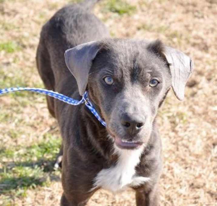 Photo of Storm