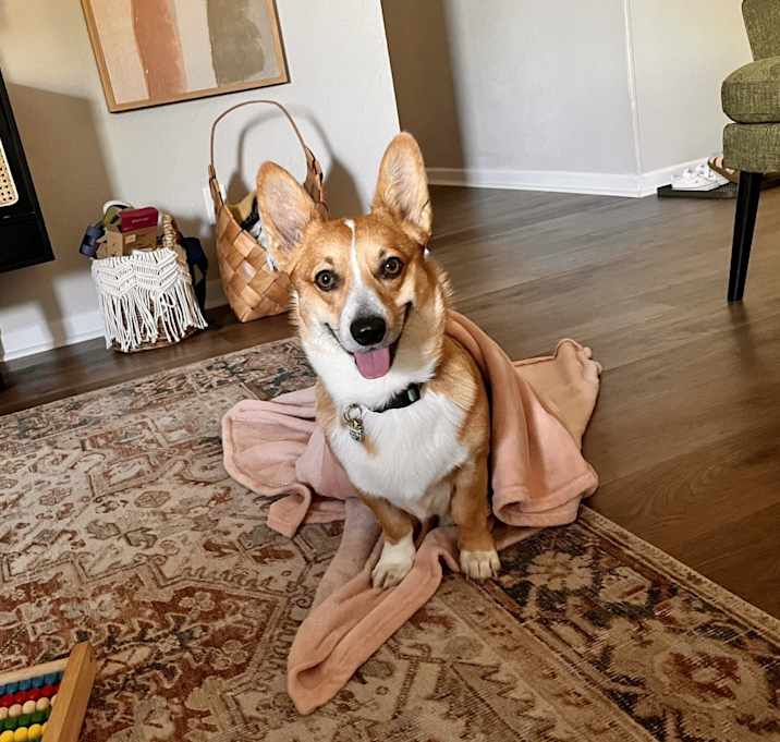 Photo of Dallas