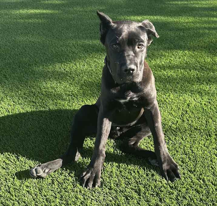 Photo of Darla