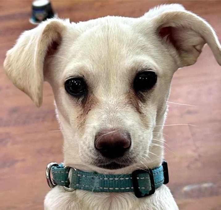 Photo of Elsa