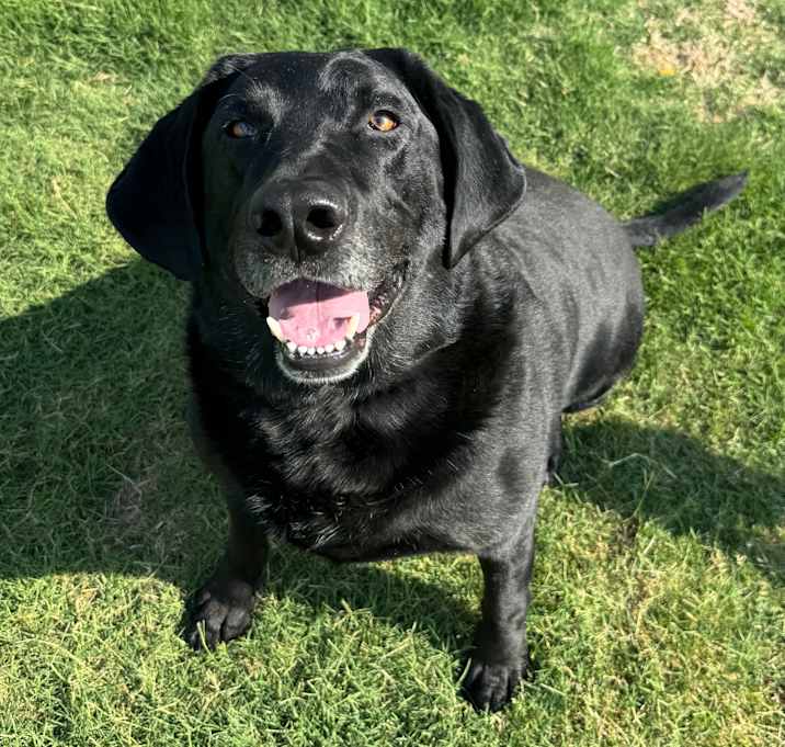 Photo of Duke
