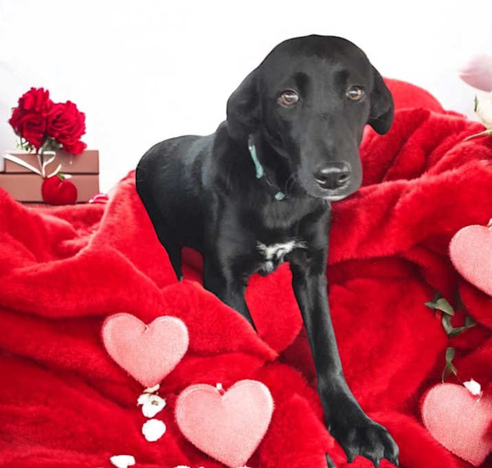 Photo of Maggie