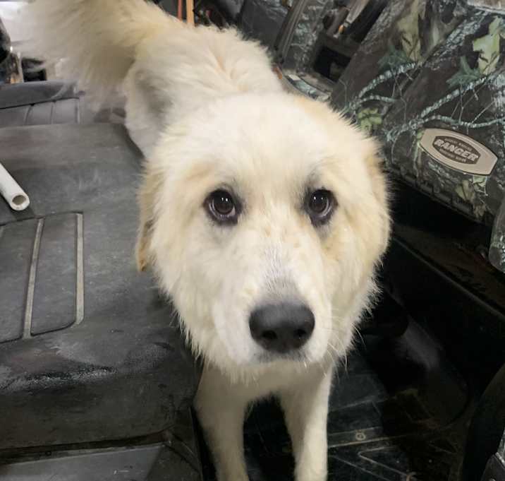 Photo of Maggie