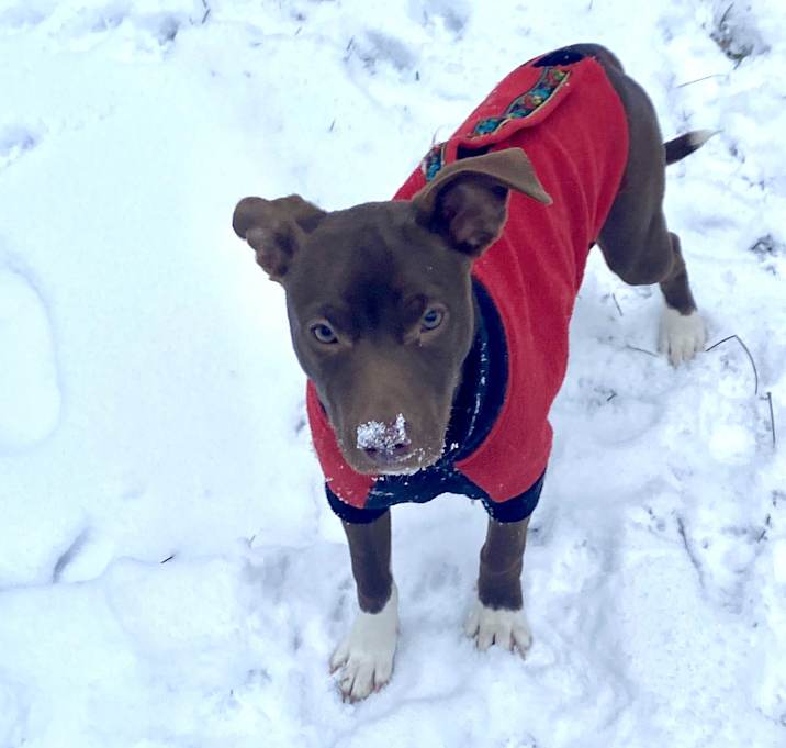Photo of Ripley