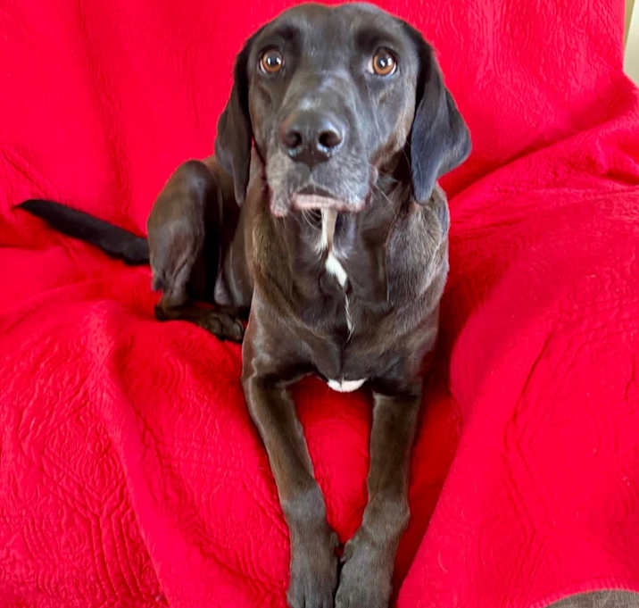 Photo of Grace
