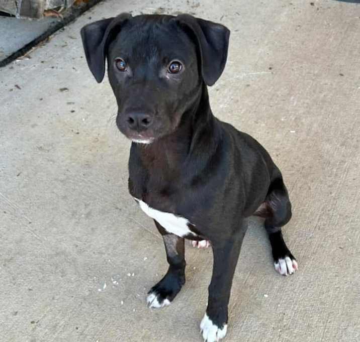 Photo of Rudy