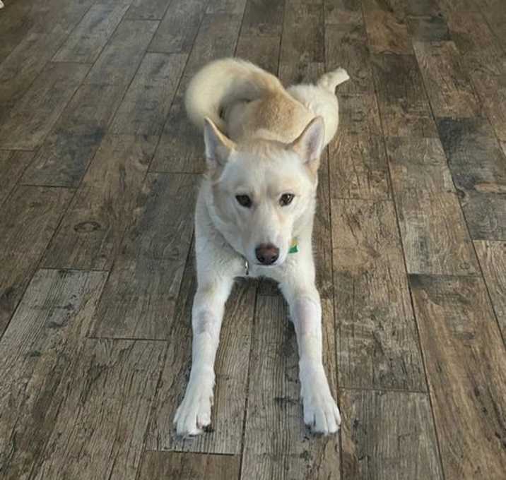 Photo of Miley