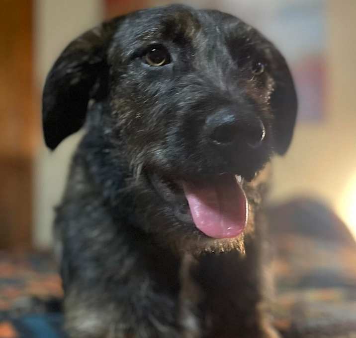 Photo of Lola