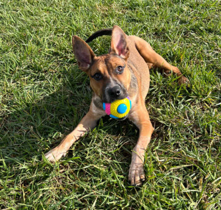 Photo of Bonnie