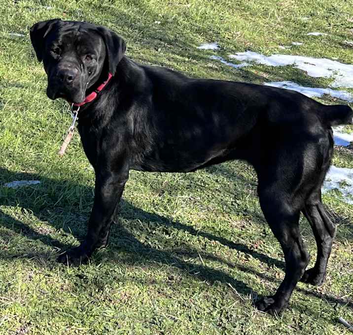 Photo of Matilda
