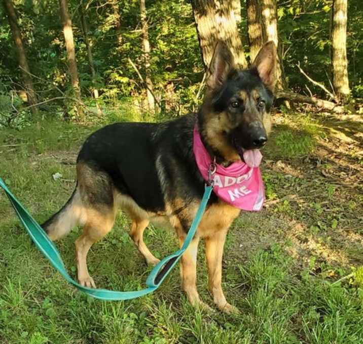 Photo of Star