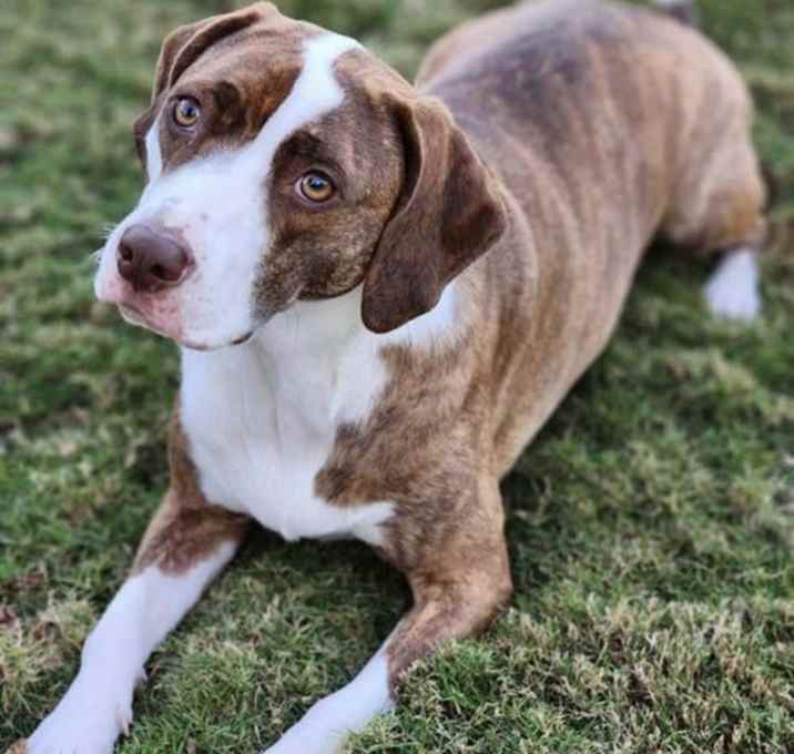 Photo of Betsy