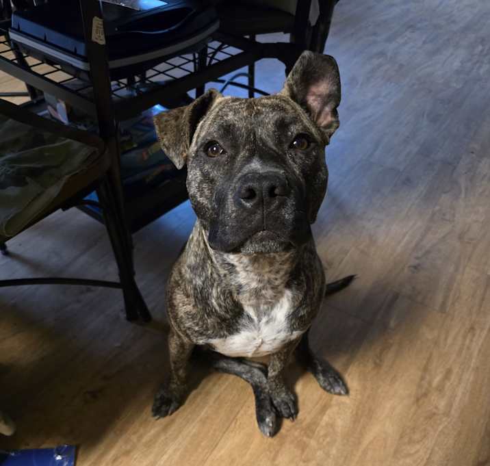 Photo of Khloe