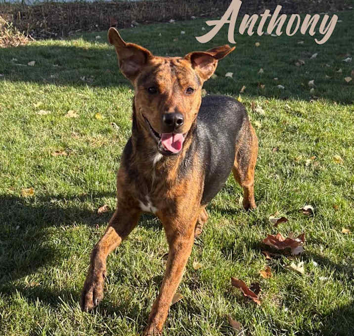 Photo of Anthony