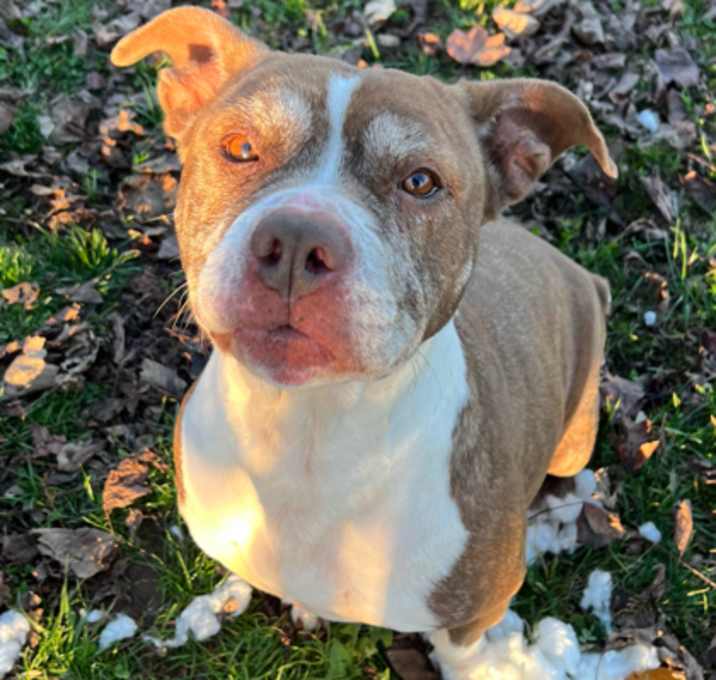 Photo of Penelope