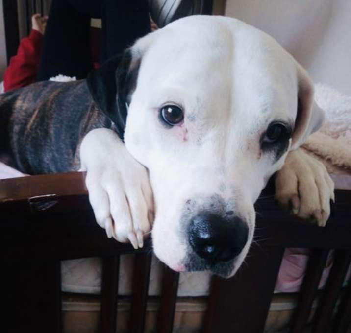 Photo of Remi Lou