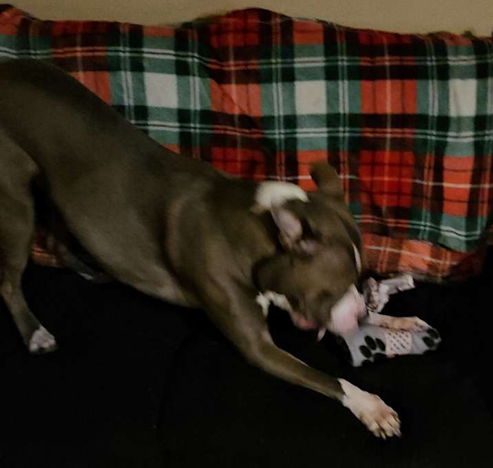 Photo of Diesel