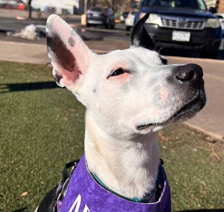 Photo of NOVA