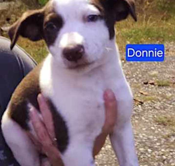 Photo of Donnie