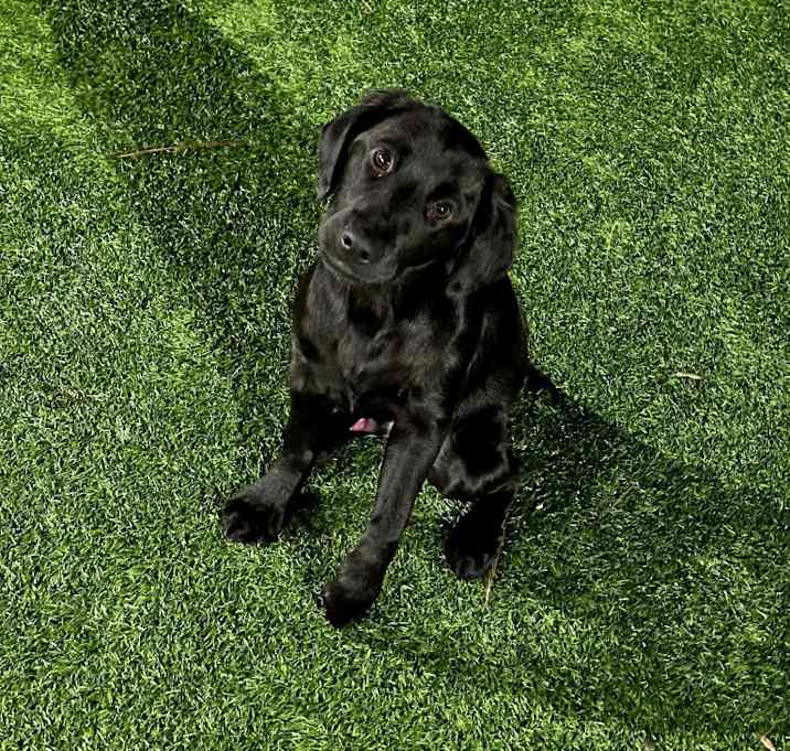 Photo of Wally A049955