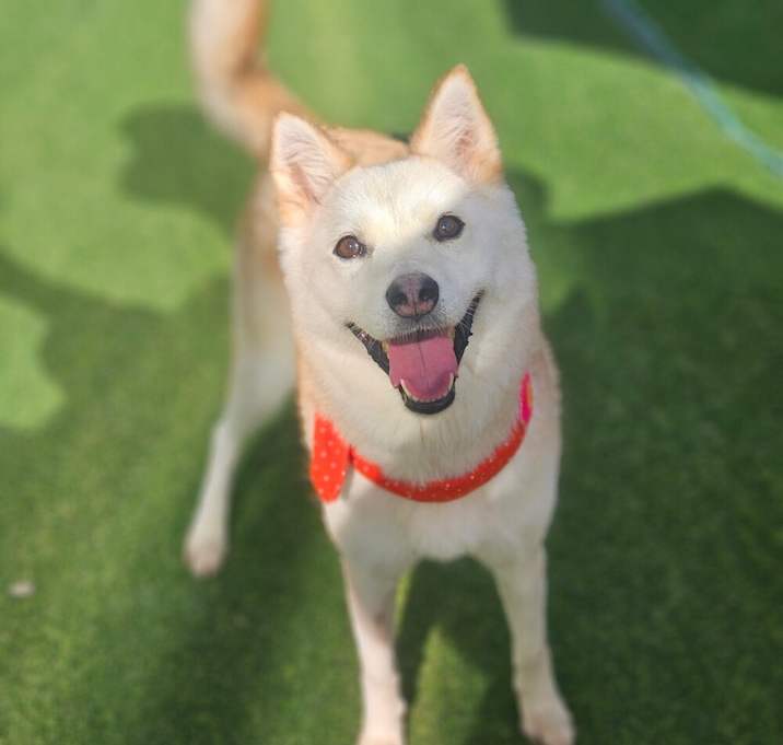 Photo of Heeah