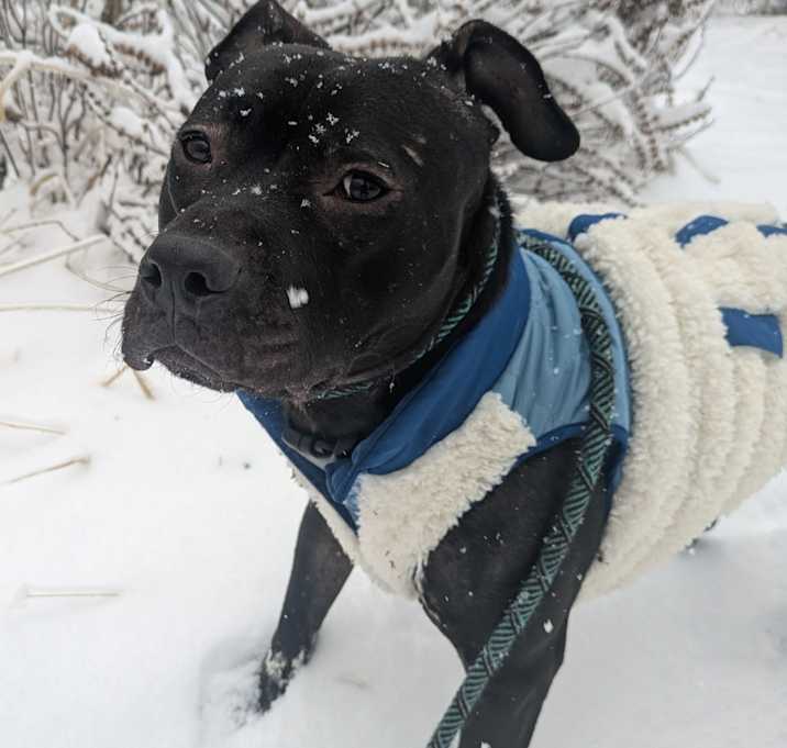 Photo of Freddy