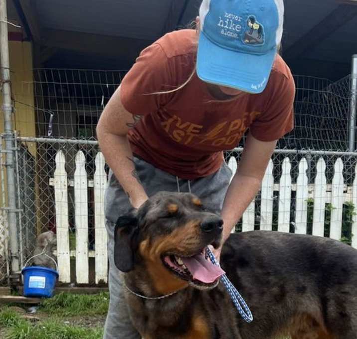 Photo of Atlas