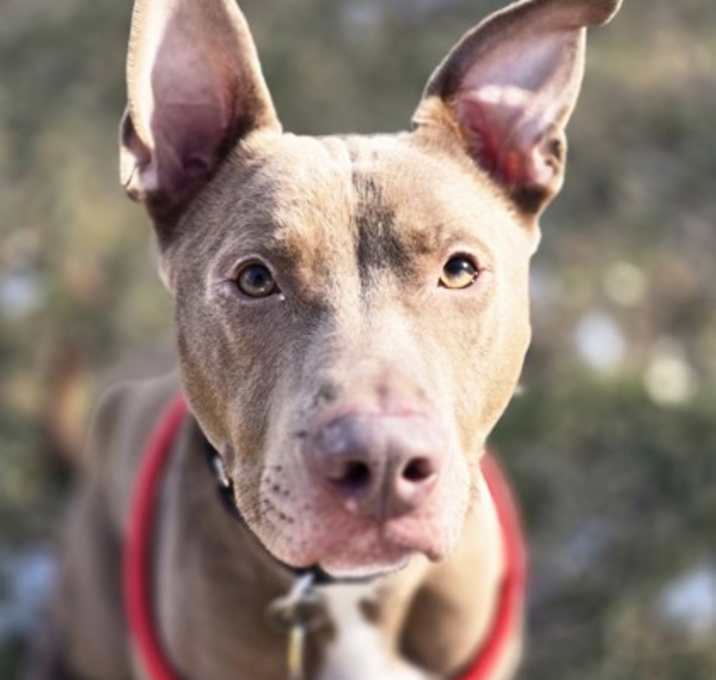 Photo of Delgado