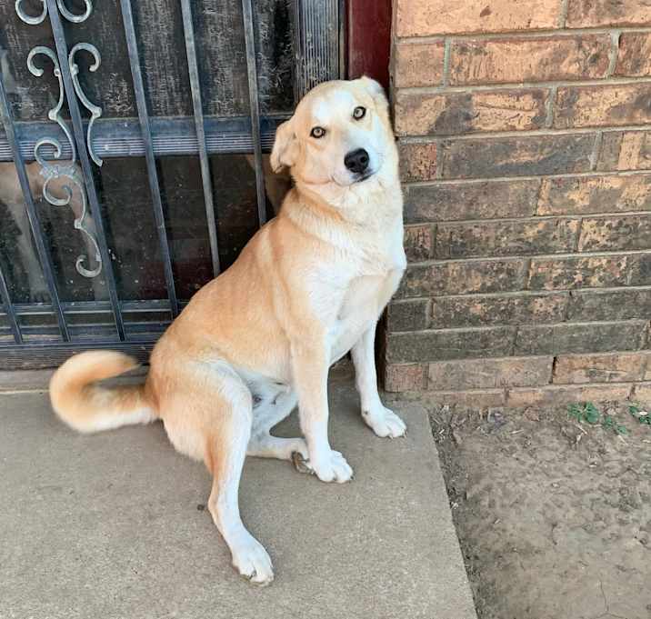 Photo of Dakota