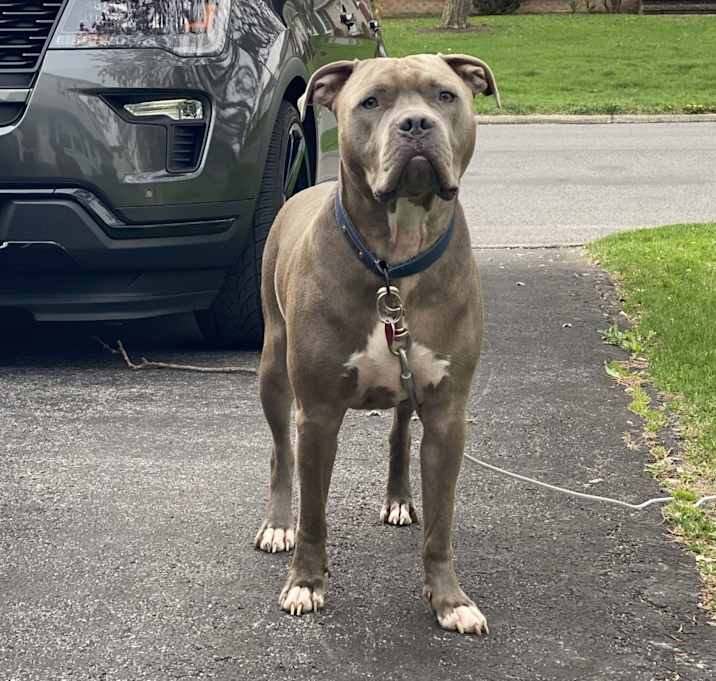 Photo of Donnie