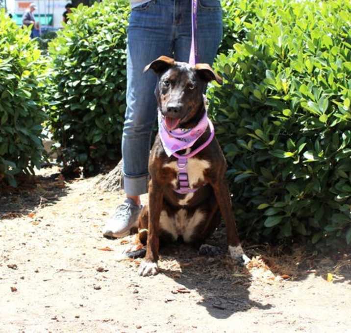 Photo of Penelope
