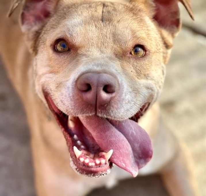Photo of OLIVER