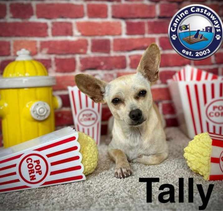 Photo of Tally