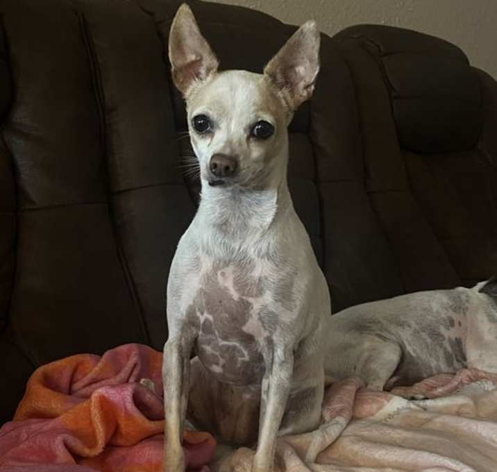 Photo of Stella B