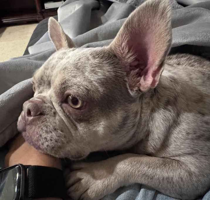 Photo of GiGi