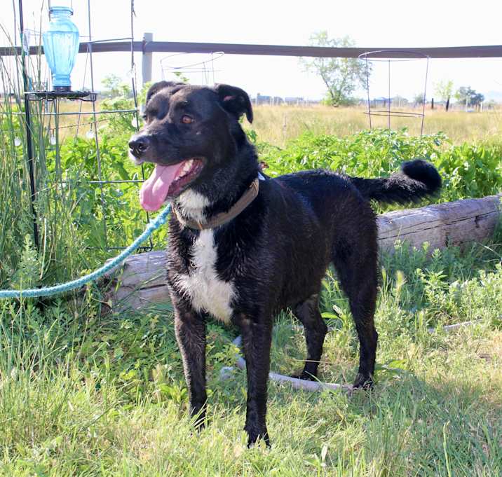Photo of Moxie