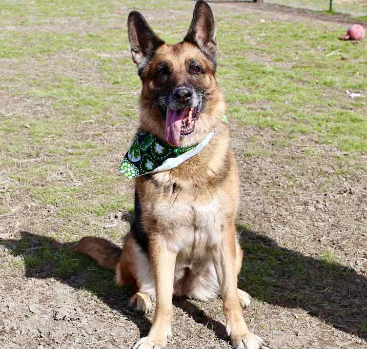 Photo of Darla